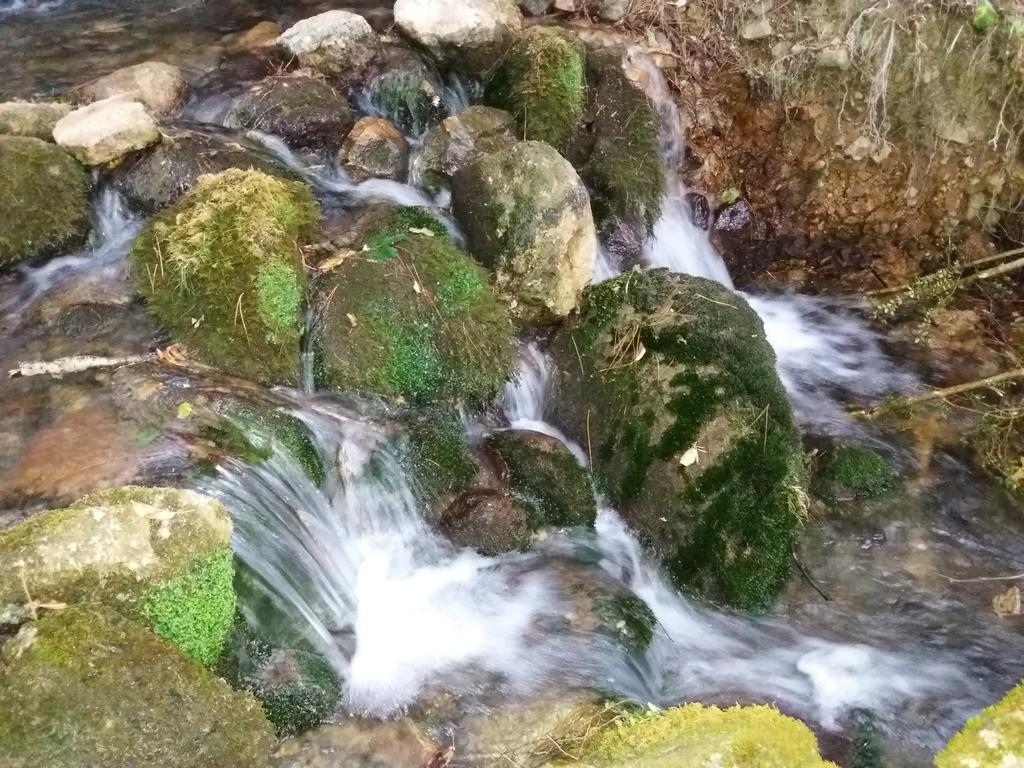 Casa Rural Moli De Fornols Hotel Kültér fotó
