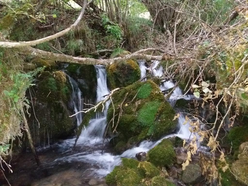 Casa Rural Moli De Fornols Hotel Kültér fotó