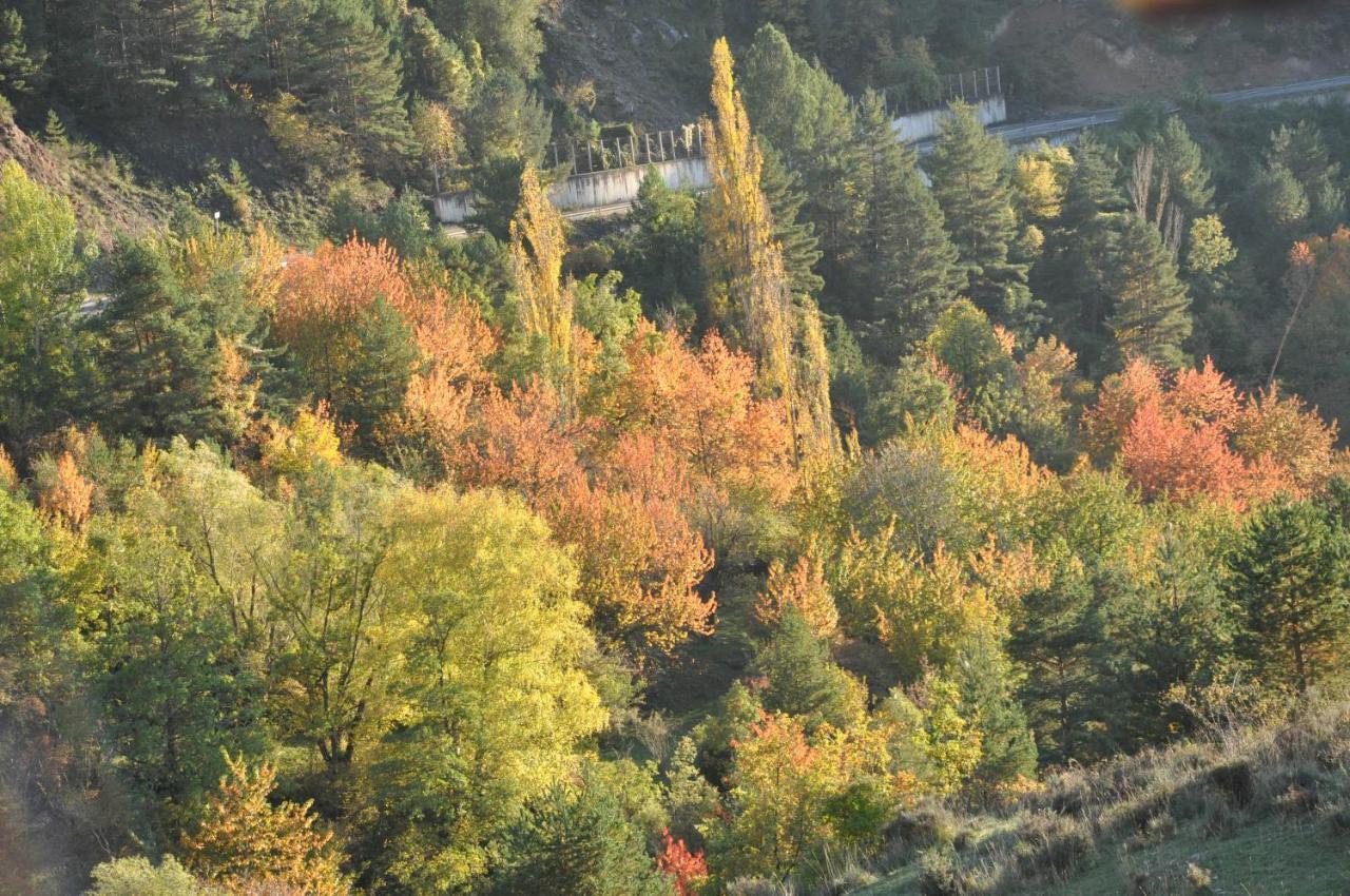 Casa Rural Moli De Fornols Hotel Kültér fotó
