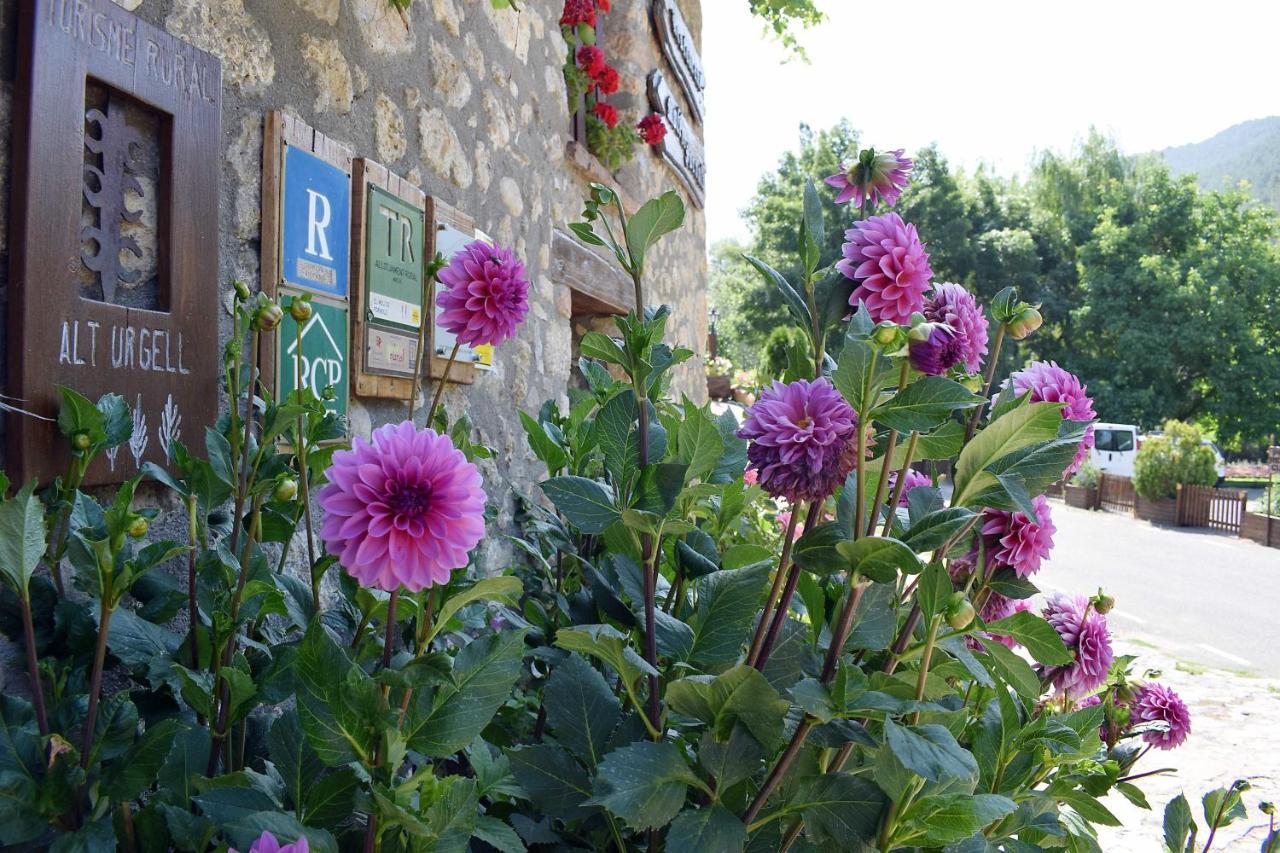 Casa Rural Moli De Fornols Hotel Kültér fotó