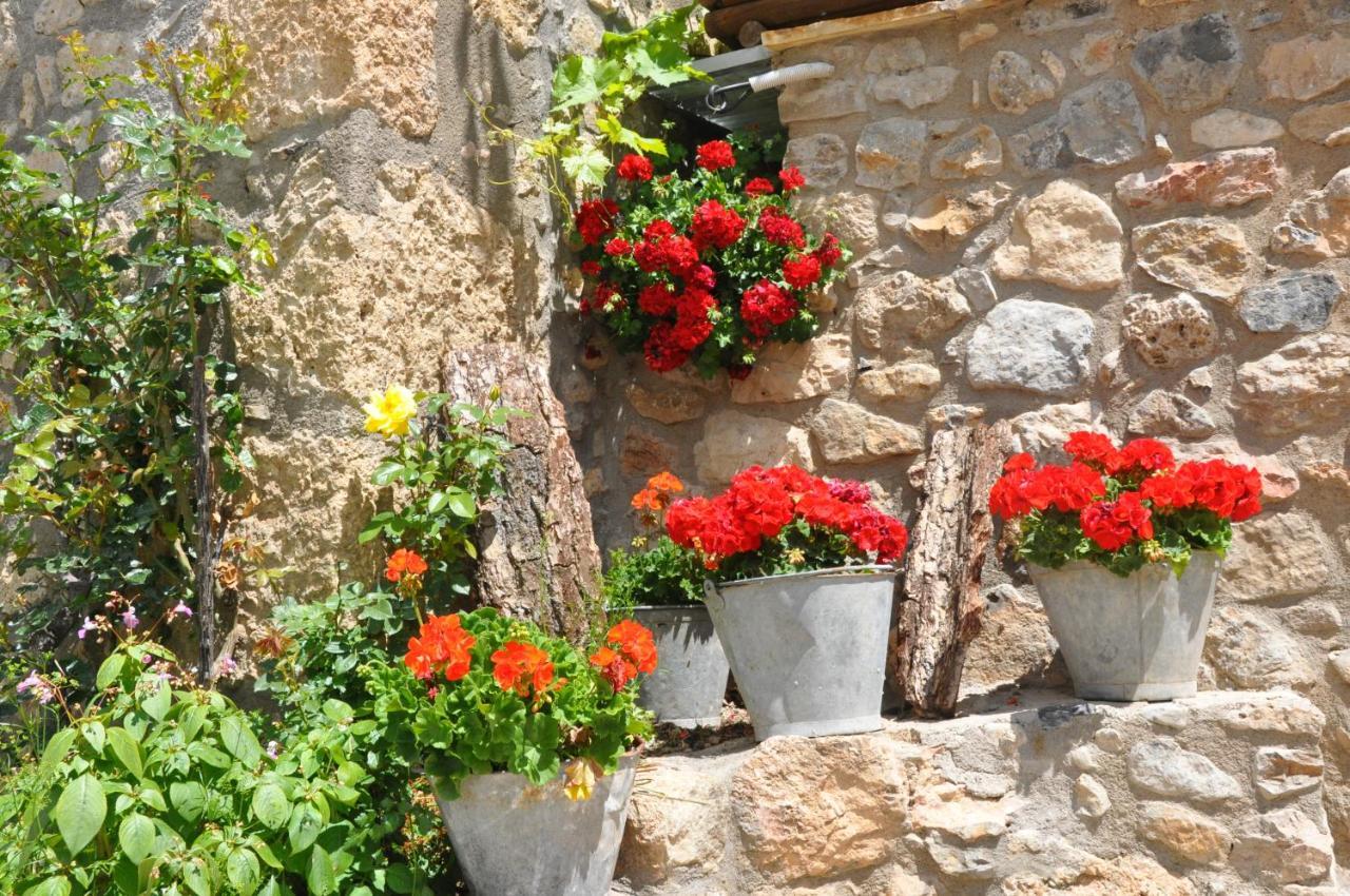 Casa Rural Moli De Fornols Hotel Kültér fotó